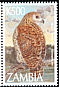 Pel's Fishing Owl Scotopelia peli  1997 Owls 