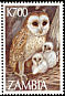 Western Barn Owl Tyto alba  1997 Owls 