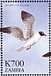 Laughing Gull Leucophaeus atricilla  1999 Flora and fauna 12v sheet