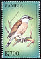Red-backed Shrike Lanius collurio  2000 Birds of the world 
