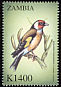 European Goldfinch Carduelis carduelis  2000 Birds of the world 