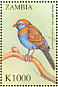 Purple Grenadier Granatina ianthinogaster  2000 Birds of the world Sheet