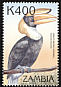 Great Hornbill Buceros bicornis  2000 Birds of the tropics 