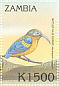 Common Sunbird-Asity Neodrepanis coruscans  2000 Birds of the tropics 8v sheet