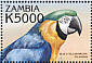 Blue-and-yellow Macaw Ara ararauna  2000 Birds of the tropics  MS