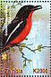 Crimson-breasted Shrike Laniarius atrococcineus  2001 Animals of Africa 6v sheet