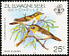 Aldabra White-eye Zosterops aldabrensis  1983 Birds 