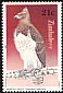 Martial Eagle Polemaetus bellicosus  1984 Birds of prey 