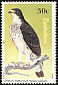 African Hawk-Eagle Aquila spilogaster  1984 Birds of prey 