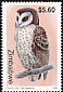 African Grass Owl Tyto capensis  1999 Owls 