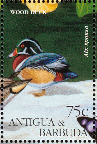 Wood Duck stamps mainly images gallery format