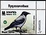 Hooded Crow Corvus cornix