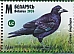 Belarus 2024 Birds of Belarus, Corvids Sheet