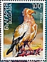 Egyptian Vulture Neophron percnopterus