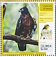 Black-and-chestnut Eagle Spizaetus isidori