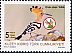 Eurasian Hoopoe Upupa epops Eurasian Hoopoe Upupa epops