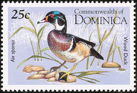 Wood Duck stamps mainly images gallery format