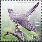 Estonia 2024 Bird of the year 