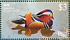 Mandarin Duck Aix galericulata