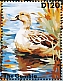 Gambia 2023 Ducks Sheet