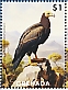 Greater Yellow-headed Vulture Cathartes melambrotus