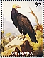 Greater Yellow-headed Vulture Cathartes melambrotus