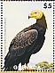 Greater Yellow-headed Vulture Cathartes melambrotus