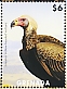 Greater Yellow-headed Vulture Cathartes melambrotus