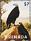 Greater Yellow-headed Vulture Cathartes melambrotus