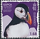 Atlantic Puffin Fratercula arctica