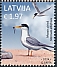 Latvia 2024 Birds 