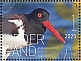 American Oystercatcher Haematopus palliatus