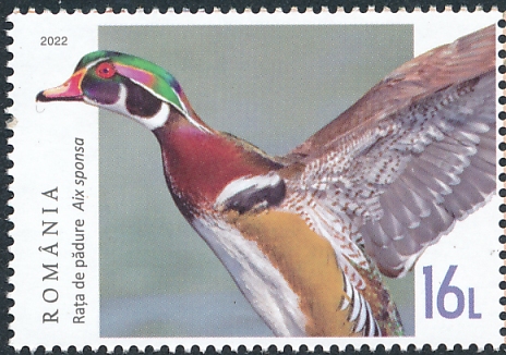 Wood Duck stamps mainly images gallery format