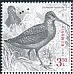 Eurasian Woodcock Scolopax rusticola  2022 Gamebirds 