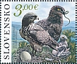 Slovakia 2024 Short-toed Snake Eagle 