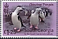 Chinstrap Penguin Pygoscelis antarcticus