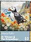 Atlantic Puffin Fratercula arctica