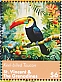 Keel-billed Toucan Ramphastos sulfuratus