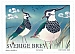 Northern Lapwing Vanellus vanellus  2024 Springtime birds Booklet, sa
