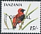 Southern Red Bishop Euplectes orix Southern Red Bishop Euplectes orix