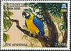 Blue-and-yellow Macaw Ara ararauna